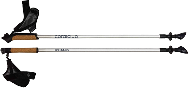 Палки для скандинавской ходьбы серебристые, L / XL